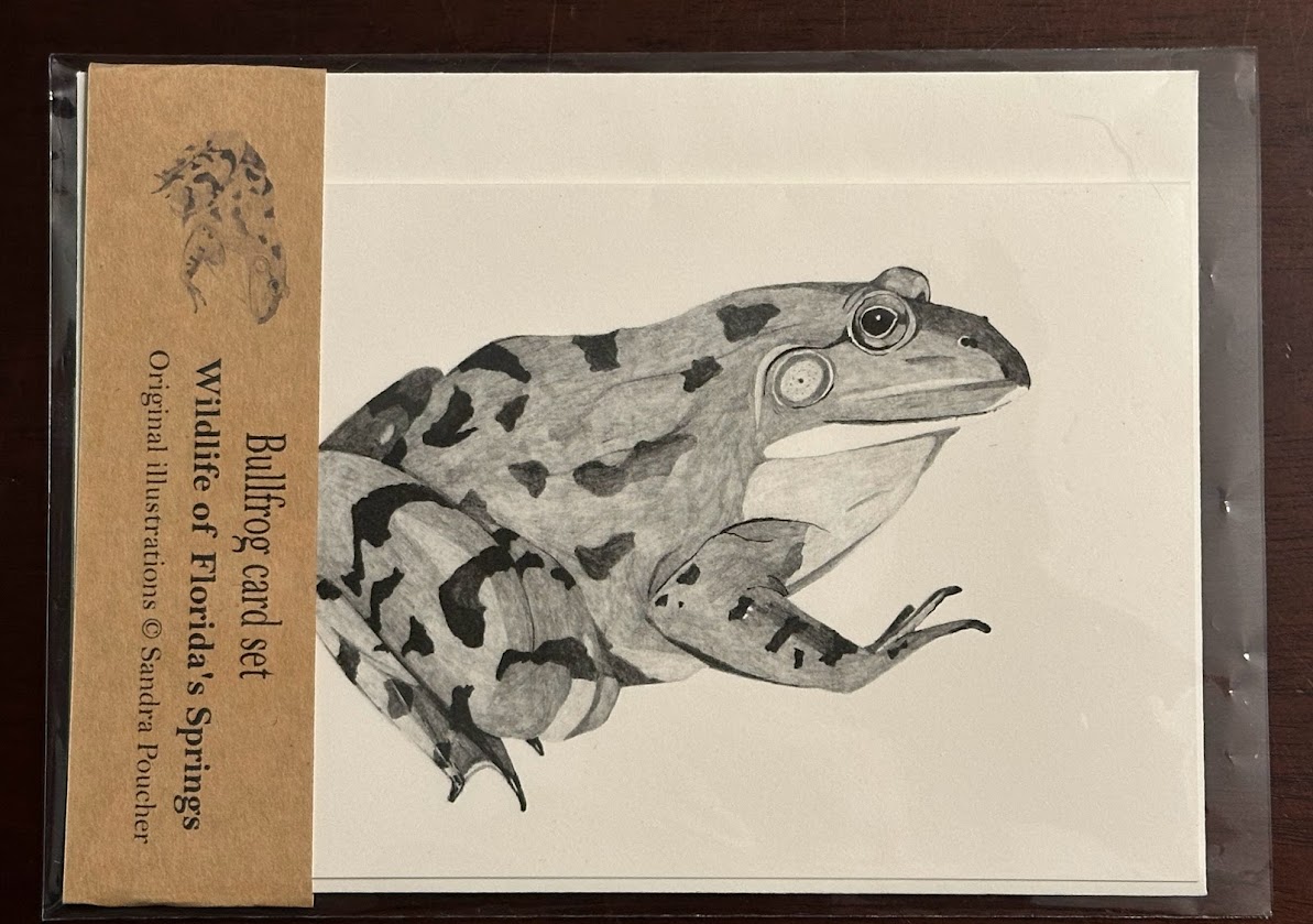 bullfrog card